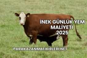 İnek Günlük Yem Maliyeti 2025