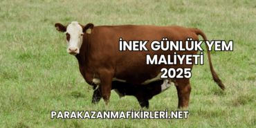 İnek Günlük Yem Maliyeti 2025