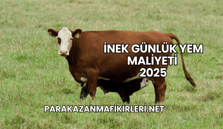İnek Günlük Yem Maliyeti 2025