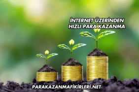 İnternet Üzerinden Hızlı Para Kazanma