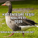 Kaz Entegre Tesisi Maliyeti 2025