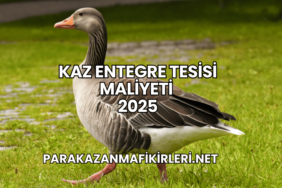 Kaz Entegre Tesisi Maliyeti 2025