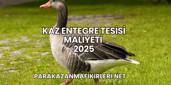 Kaz Entegre Tesisi Maliyeti 2025