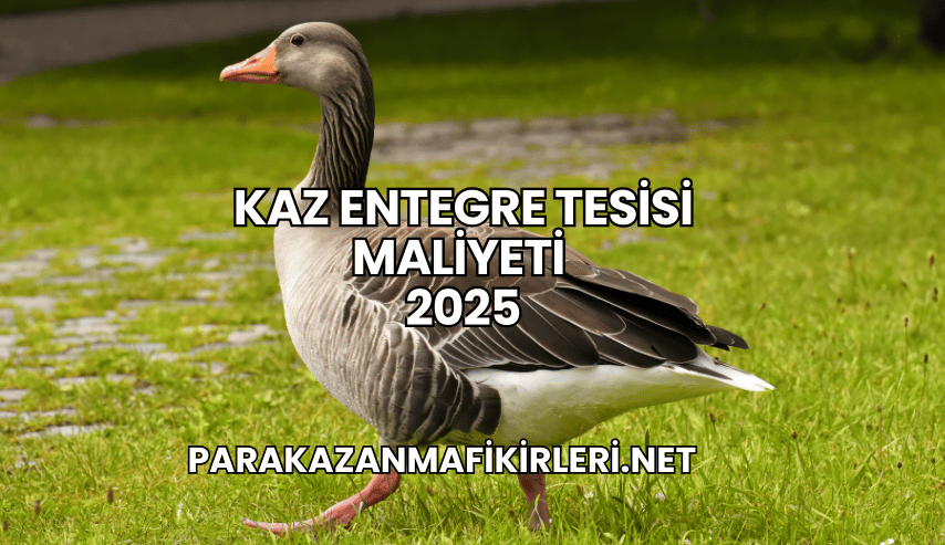 Kaz Entegre Tesisi Maliyeti 2025