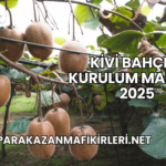 Kivi Bahçesi Kurulum Maliyeti 2025