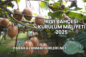 Kivi Bahçesi Kurulum Maliyeti 2025