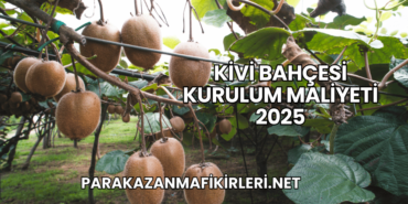 Kivi Bahçesi Kurulum Maliyeti 2025