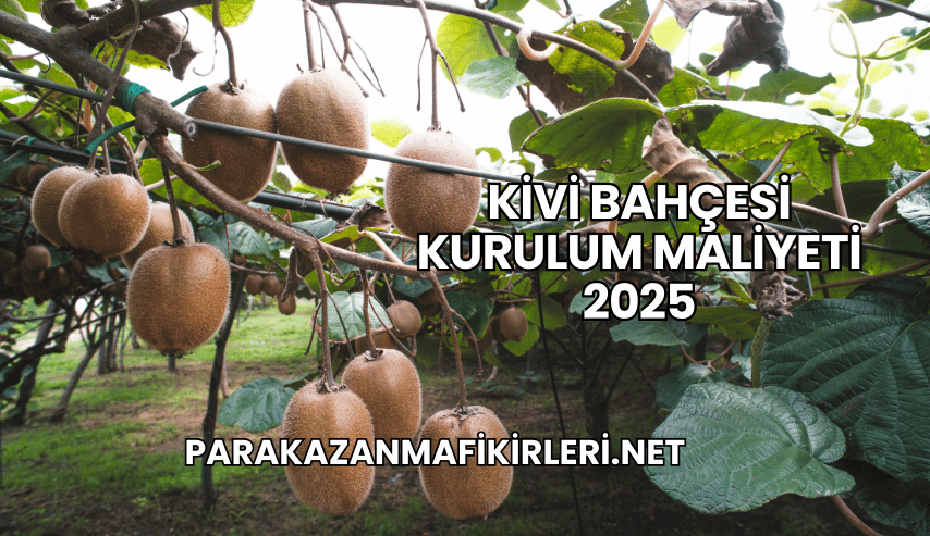 Kivi Bahçesi Kurulum Maliyeti 2025