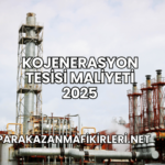 Kojenerasyon Tesisi Maliyeti 2025