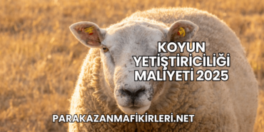 Koyun Yetiştiriciliği Maliyeti 2025