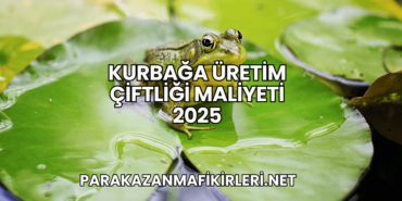 Kurbağa Üretim Çiftliği Maliyeti 2025