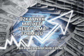 Özkaynak Maliyeti Hesaplama Formülü