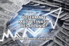Özsermaye Maliyeti Nasıl Hesaplanır?