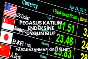 Pegasus Katılım Endeksine Uygun mu?