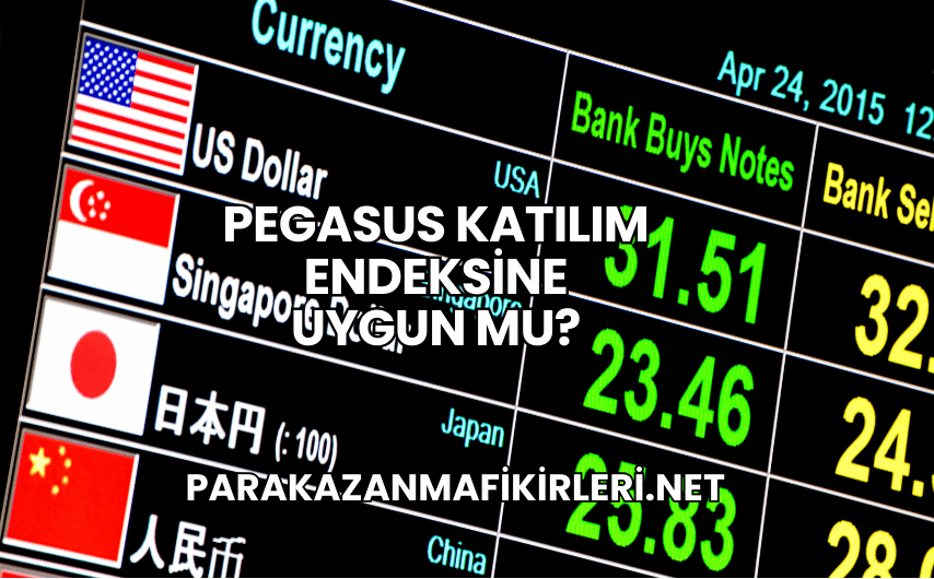 Pegasus Katılım Endeksine Uygun mu?