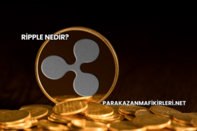 Ripple Nedir?