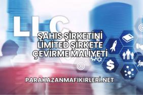 Şahıs Şirketini Limited Şirkete Çevirme Maliyeti
