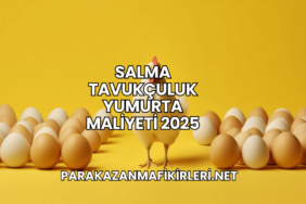 Salma Tavukçuluk Yumurta Maliyeti 2025