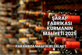 Şarap Fabrikası Kurmanın Maliyeti 2025