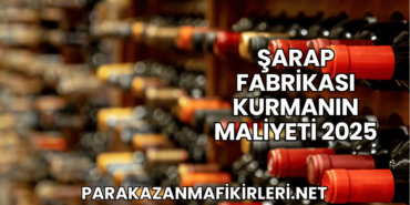 Şarap Fabrikası Kurmanın Maliyeti 2025