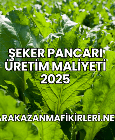 Şeker Pancarı Üretim Maliyeti 2025