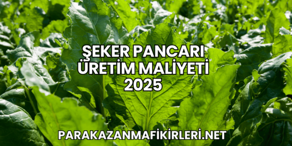 Şeker Pancarı Üretim Maliyeti 2025