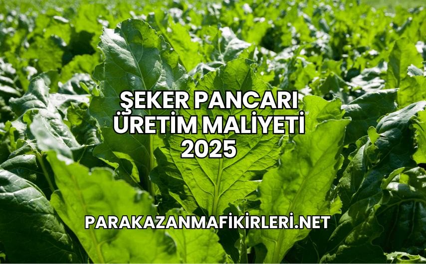 Şeker Pancarı Üretim Maliyeti 2025