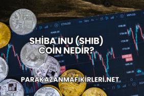 Shiba Inu (SHIB) Coin Nedir?