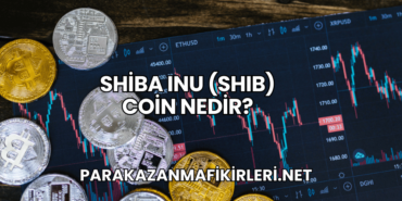 Shiba Inu (SHIB) Coin Nedir?