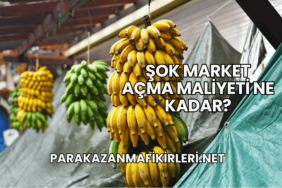 Şok Market Açma Maliyeti Ne Kadar?