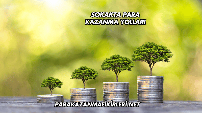Sokakta Para Kazanma Yolları