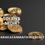 Solana Nedir?
