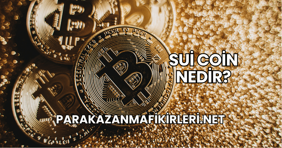 Sui Coin Nedir?