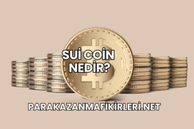 Sui Coin Nedir?