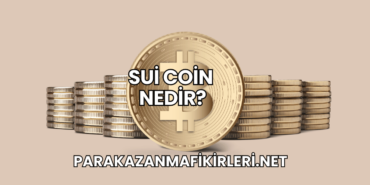 Sui Coin Nedir?