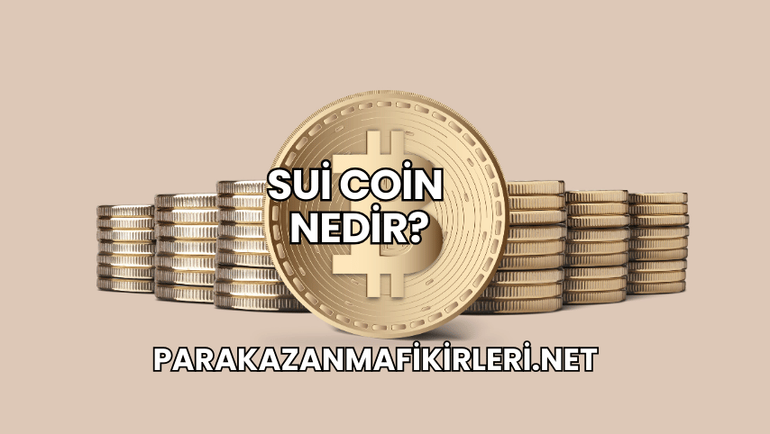 Sui Coin Nedir?