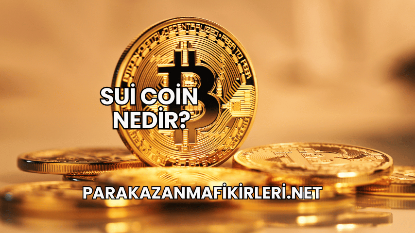 Sui Coin Nedir?