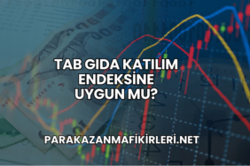 Tab Gıda Katılım Endeksine Uygun mu?