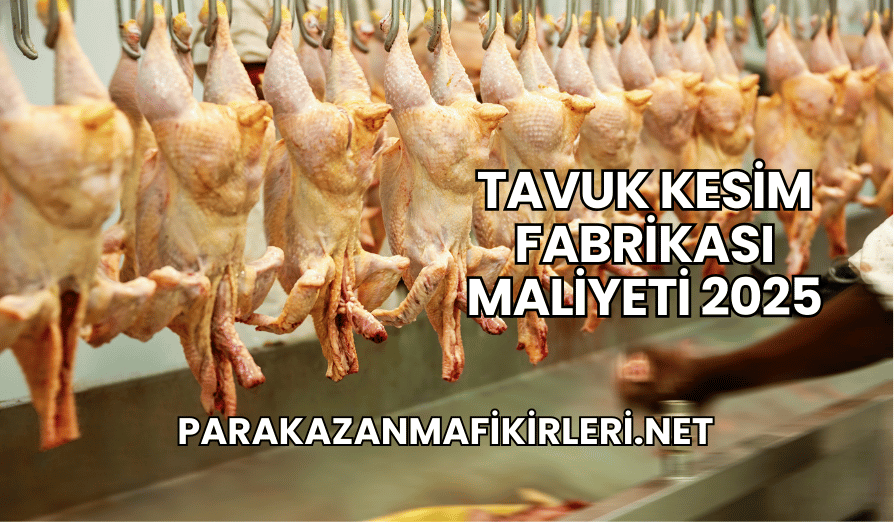 Tavuk Kesim Fabrikası Maliyeti 2025