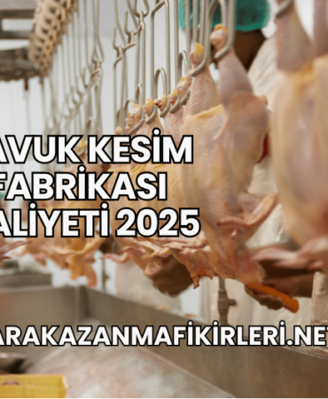 Tavuk Kesim Fabrikası Maliyeti 2025 (2)