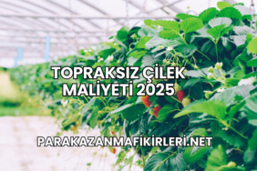 Topraksız Çilek Maliyeti 2025