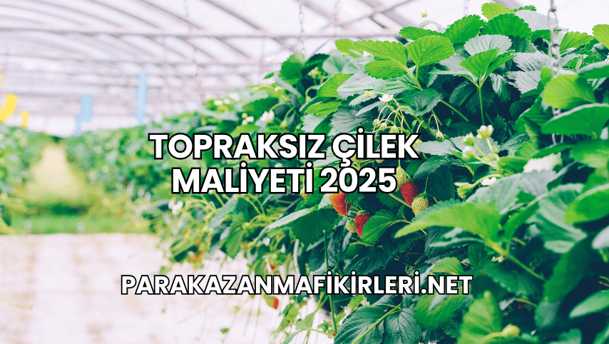 Topraksız Çilek Maliyeti 2025