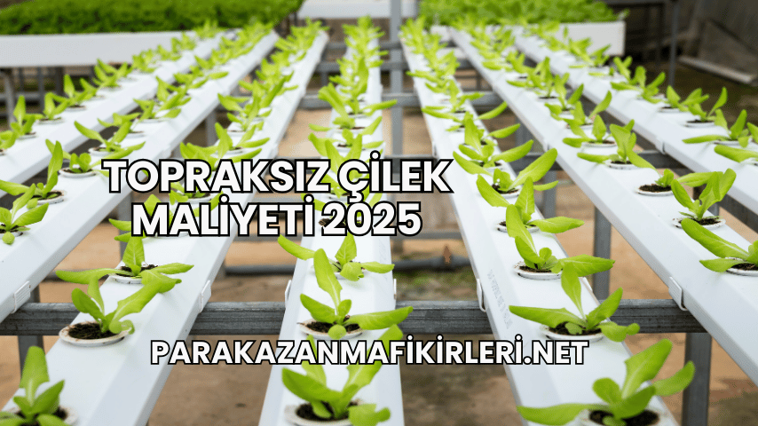 Topraksız Çilek Maliyeti 2025