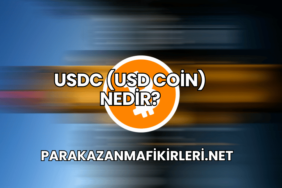 USDC (USD Coin) Nedir?