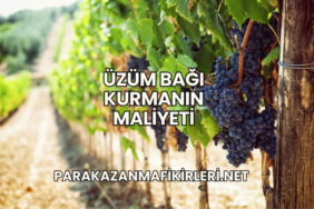 Üzüm Bağı Kurmanın Maliyeti