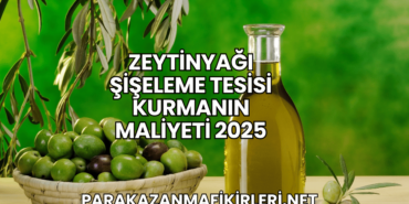 Zeytinyağı Şişeleme Tesisi Kurmanın Maliyeti 2025