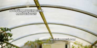 1 Dönüm Modern Sera Maliyeti 2025
