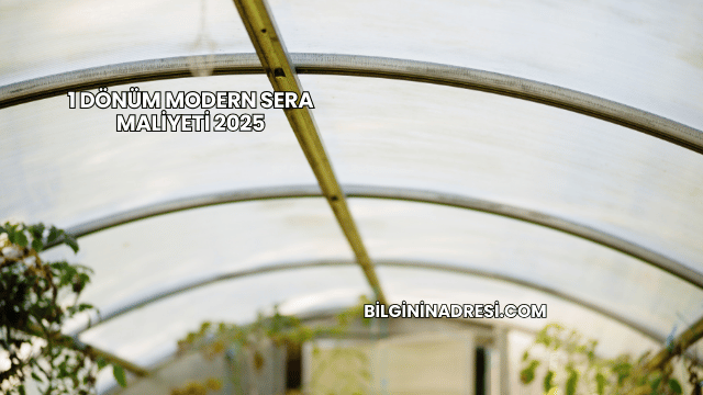 1 Dönüm Modern Sera Maliyeti 2025