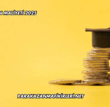 50 Kuruşun Maliyeti 2025