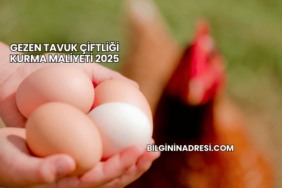 Gezen Tavuk Çiftliği Kurma Maliyeti 2025